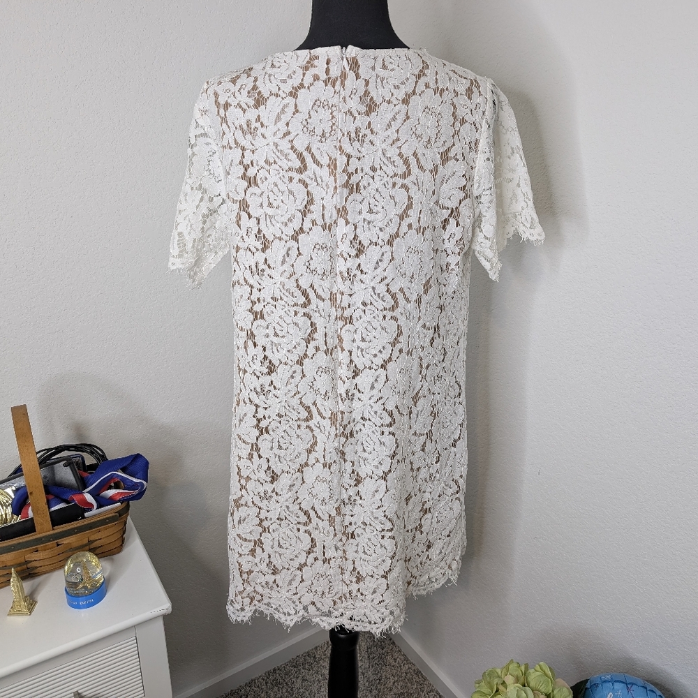💘 Evie Lace Shift Dress - Picture 3 of 6